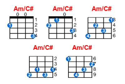 Am/C# ukulele chord charts/diagrams with finger positions and variations